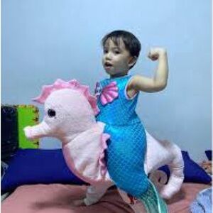 Pink Seahorse and mermaid costume